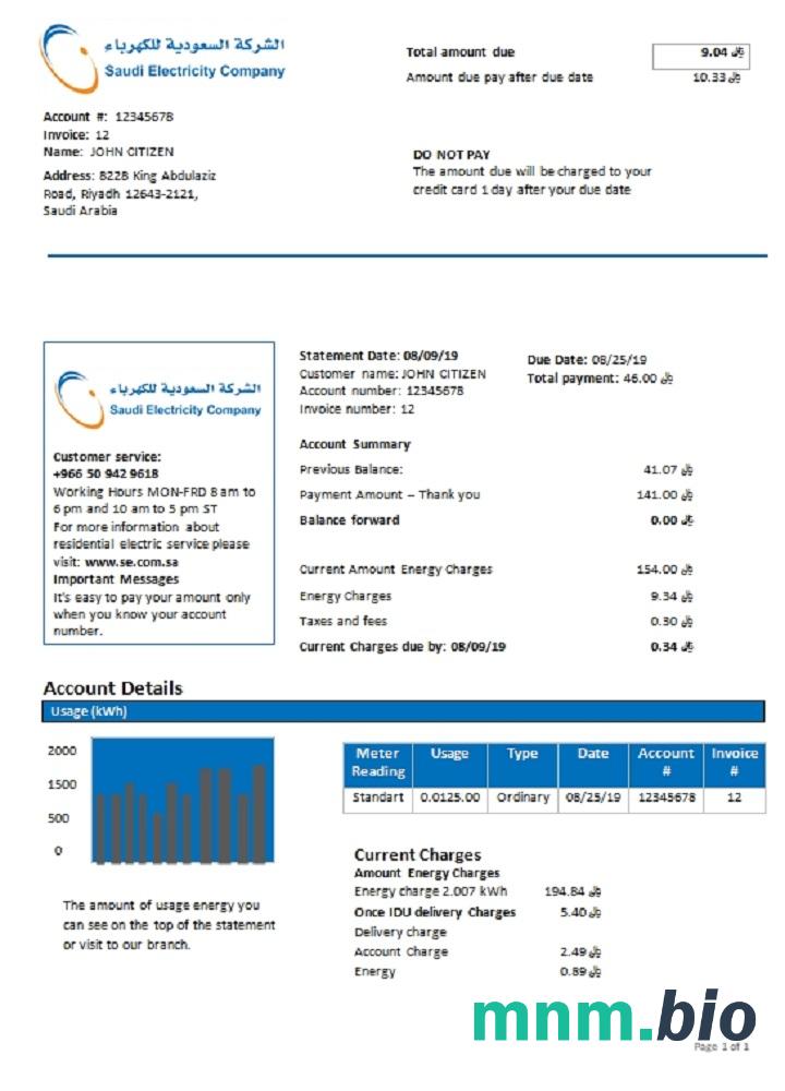 Arabia Saudyjska Saudi Electricity Firma electri
